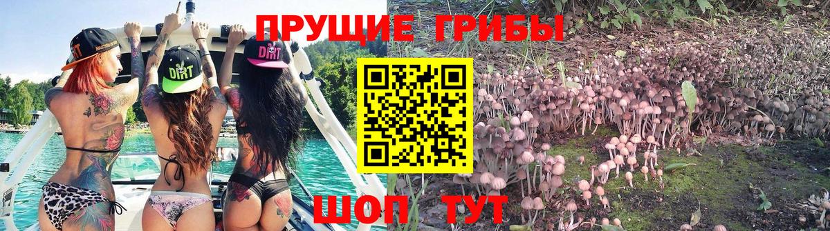 Галлюциногенные грибы ЛСД  Вход с VPN  Кемерово  Галлюциногенные грибы мицелий 